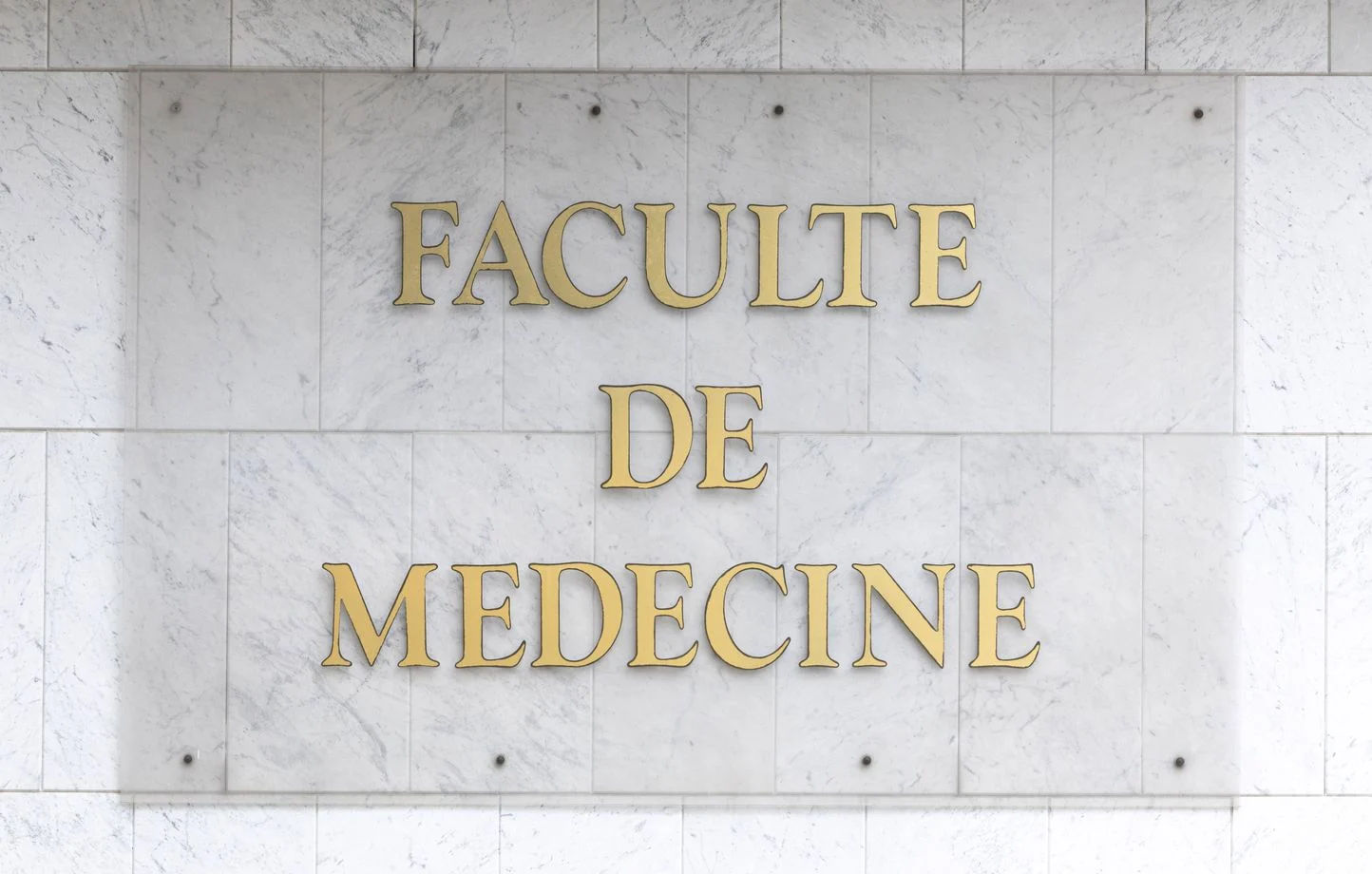 Lire la suite à propos de l’article Médecine : La réintégration des étudiants en médecine formés à l’étranger crée des tensions